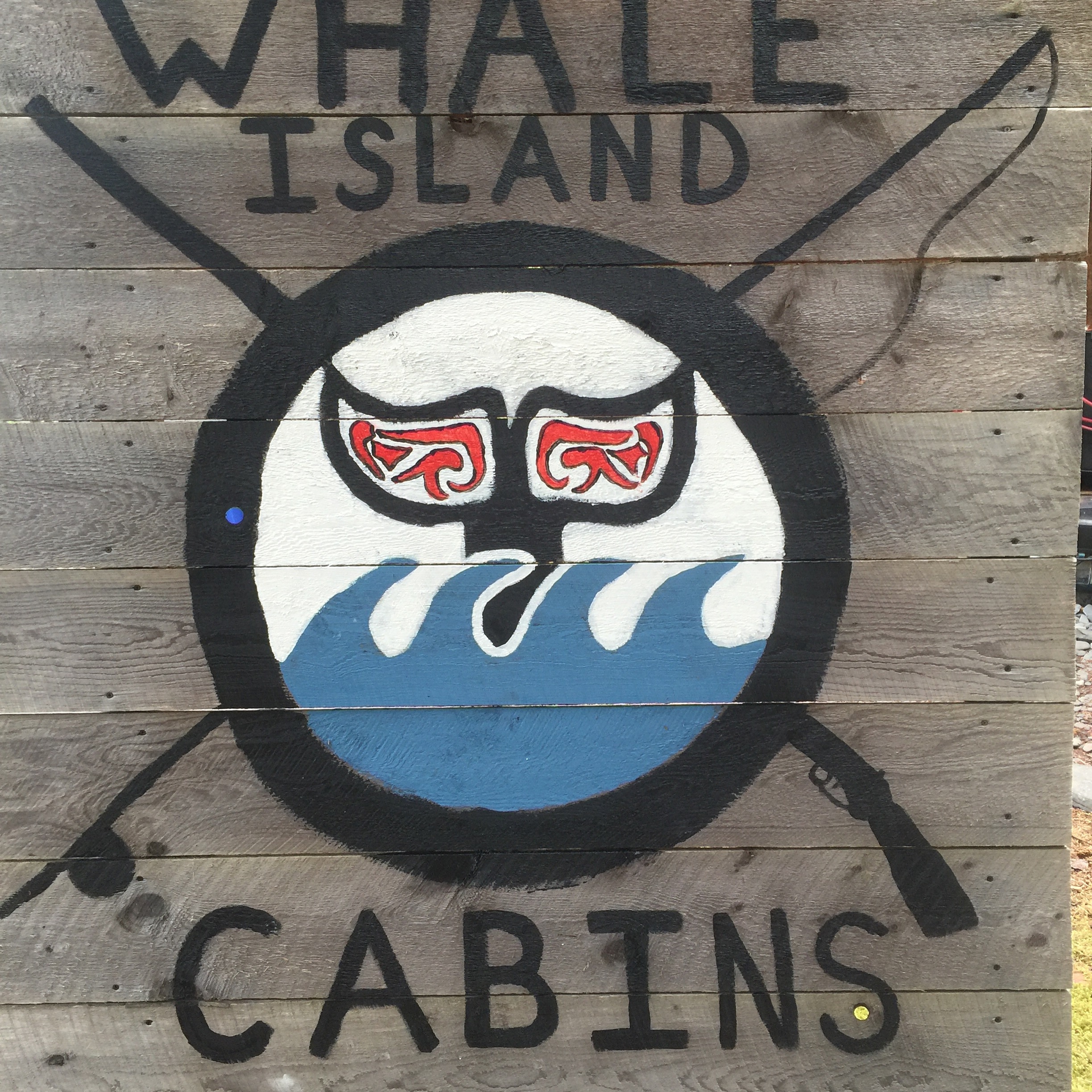 Where is Whale Island?? Whale Island Cabins